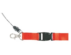 lanyard